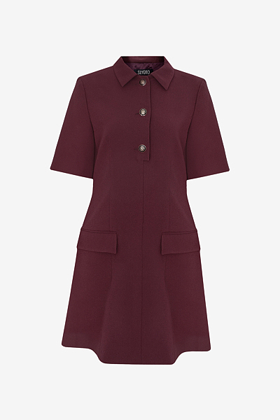 Mini Dress with Shirt Collar and Decorative Buttons